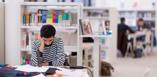 mediatheque étudiant étudiant dans la médiathèque nova