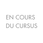 Stage à l’international de 12 semaines minimum
